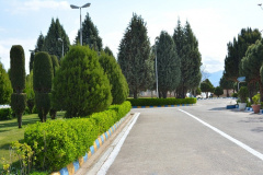 محیط دانشگاه