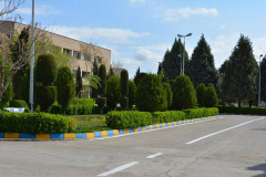محیط دانشگاه