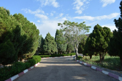 محیط دانشگاه