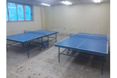 محیط ورزشی
