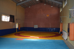 محیط ورزشی